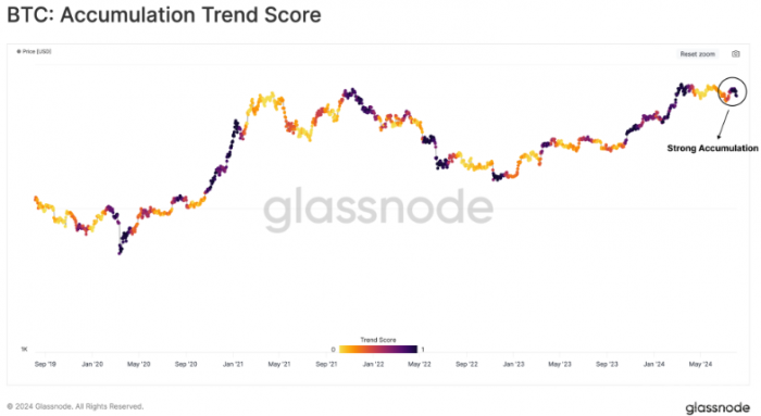長期持有者開始重新積累Bitcoin圖片
