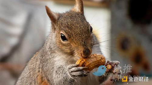 Meme造富機：一場虛無主義的財富游戲圖片