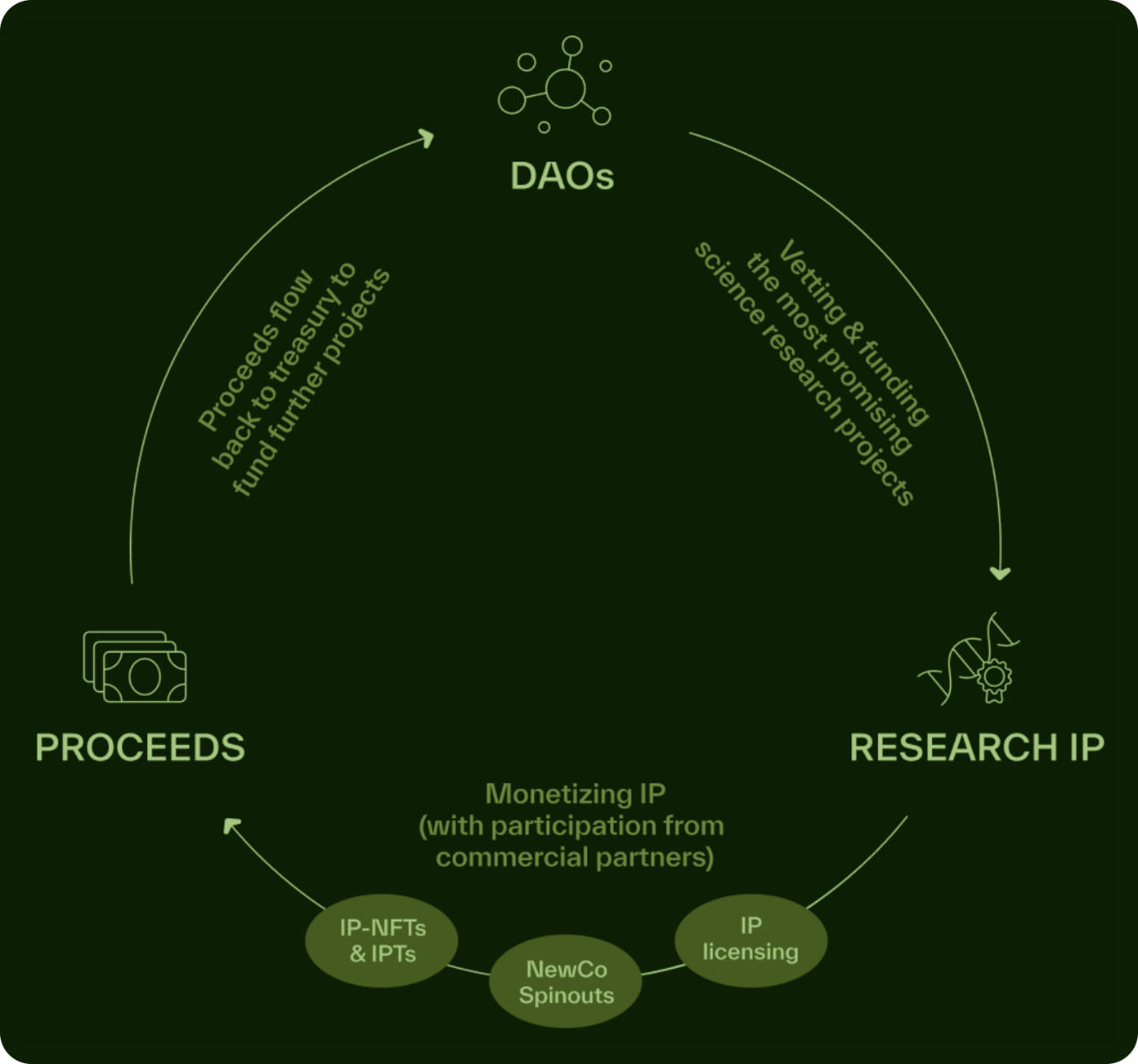 詳解BIO Protocol及DeSci領域項目如何革新科研&nbsp;圖片