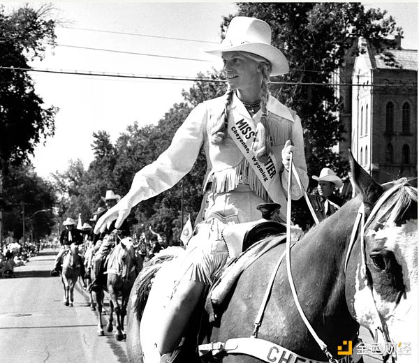 Bitcoin參議員Lummis：推動美國千億美元賭注的 圖片