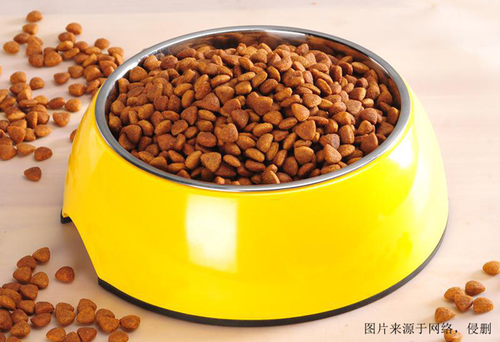 寵物食品進(jìn)口報(bào)關(guān)代理基本流程解析