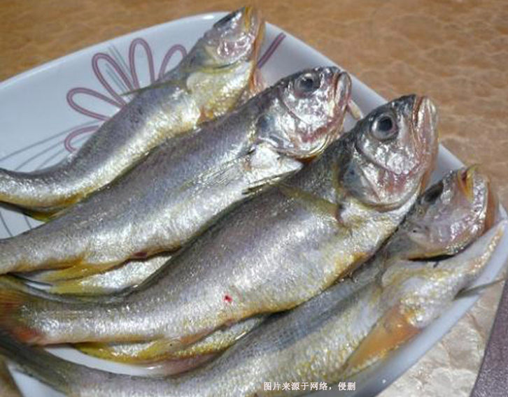 阿根廷冷凍石首魚進(jìn)口報關(guān)資料