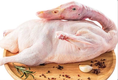 泰國冷凍鴨肉進口報關手續-19年冷凍肉類報關行