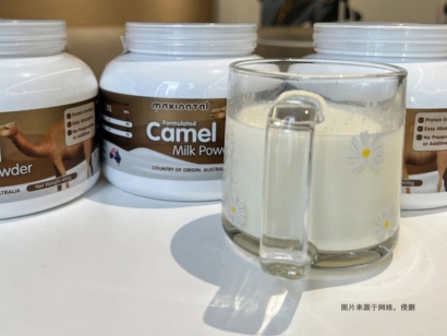 阿聯酋駱駝奶粉進口清關資料8樣_乳制品申報要素