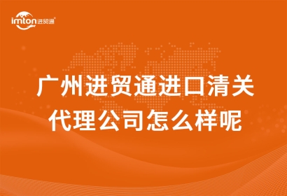 廣州廣州代理進口進口清關代理公司怎么樣呢？