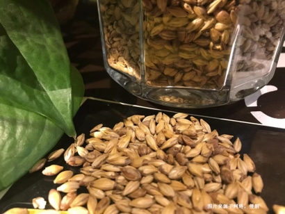 澳大利亞麥芽進口報關資料_未烘焙啤酒麥芽清關流程
