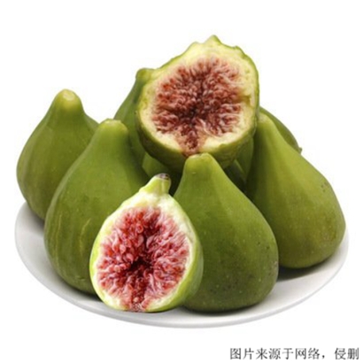 常州進口食品報關_了解土耳其無花果的進口流程與優勢