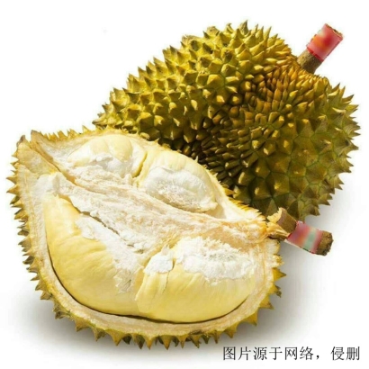 榴蓮進口清關流程是怎么樣的_從越南進口榴蓮報關