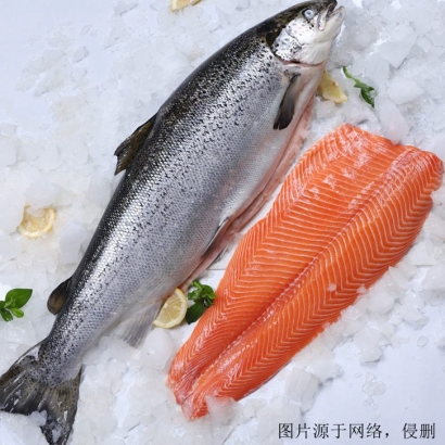 挪威三文魚進口報關資料_鮭魚三文魚進口關稅多少