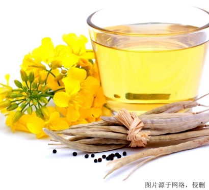 天津進(jìn)口菜籽油報關(guān)資料_俄羅斯進(jìn)口食用油清關(guān)流程