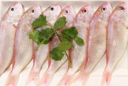 越南冷凍金線魚進口報關(guān)資料到上海代理冷凍魚案例