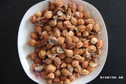 德國豆蔻進(jìn)口報(bào)關(guān)流程_香料豆蔻進(jìn)口準(zhǔn)入國家