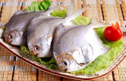 印尼冷凍鯧魚進口報關流程-廣州水產品報關行
