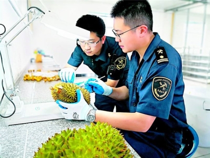 進口泰國榴蓮報關(guān)這樣操作準沒錯