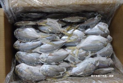 厄瓜多爾冷凍鯧魚進口報關(guān)費用到佛山代理水產(chǎn)品案例