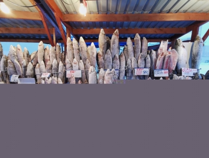 想知道菲律賓凍魚進口報關的流程嗎?凍魚報關請看這里