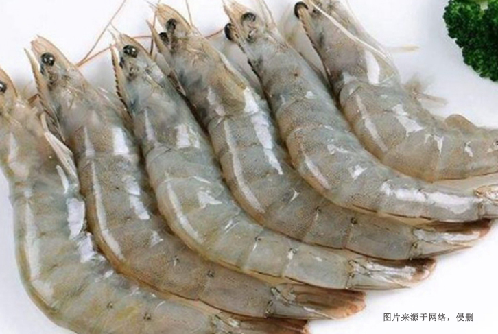 越南冷凍南美白對蝦進口報關資料