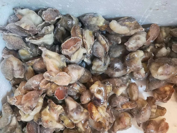 廣州南沙港進口英國冷凍水產(chǎn)品報關 廣州南沙港進口英國冷凍水產(chǎn)品報關