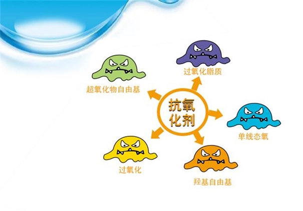 抗氧化劑進(jìn)口報關(guān)_副本.jpg