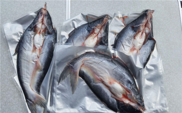 越南巴沙魚進口清關代理公司 越南巴沙魚進口清關